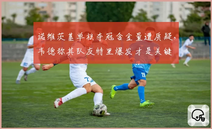 诺维茨基单核夺冠含金量遭质疑，韦德称其队友特里爆发才是关键