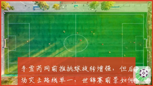 李雪芮网前推挑球旋转增强,但后场突击路线单一,世锦赛前景如何?